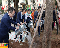 Chủ tịch HĐND Thành phố Nguyễn Ngọc Tuấn dự Tết trồng cây Xuân Quý Mão 2023 tại quận Hoàn Kiếm